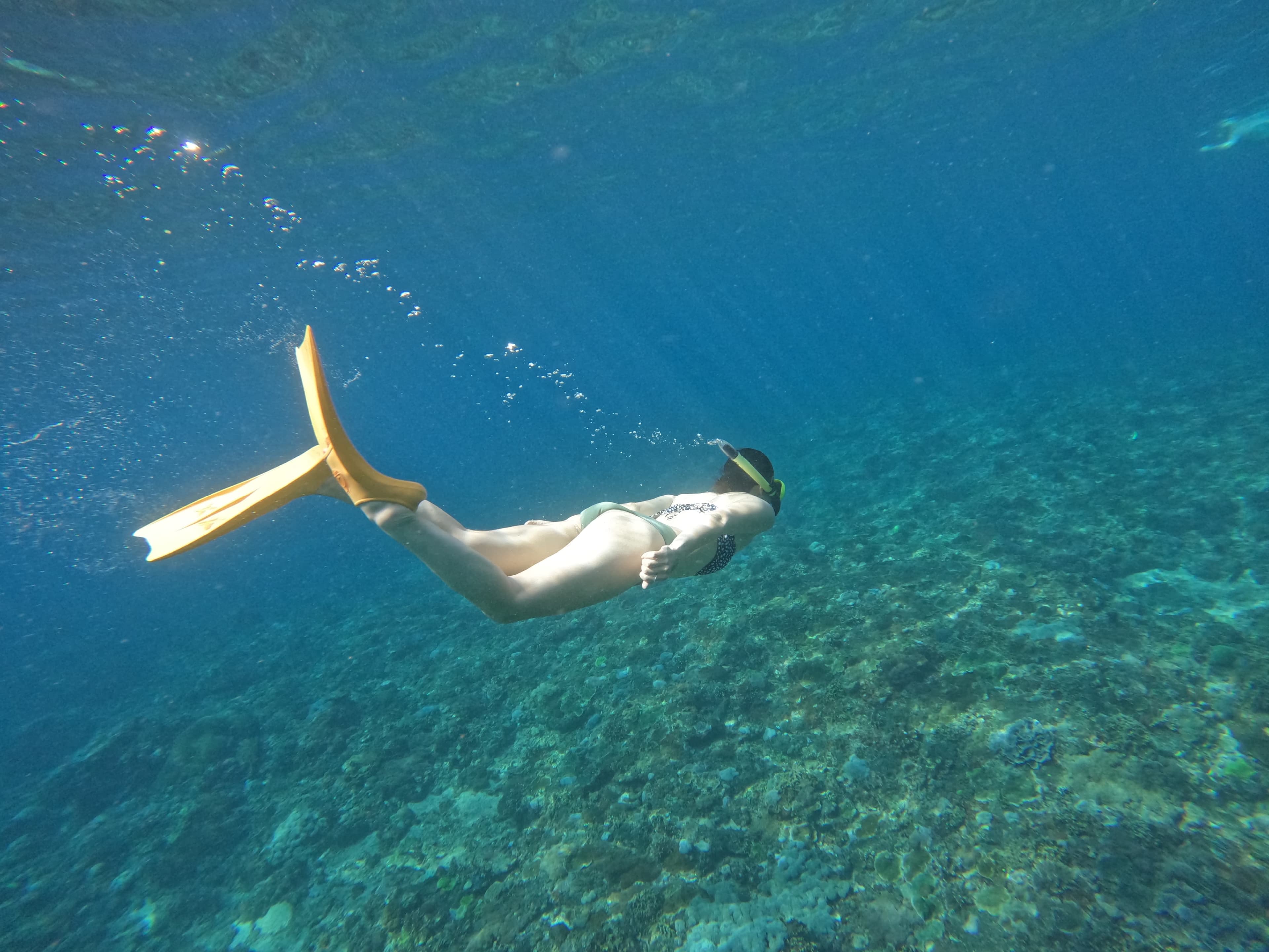 バリ島でシュノーケリングを楽しむ様子